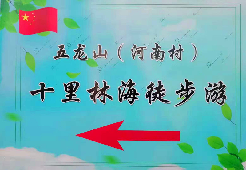 日盛达集团大力支持首届万里荫城金秋旅游节系列之一“十里林海徒步游”活动