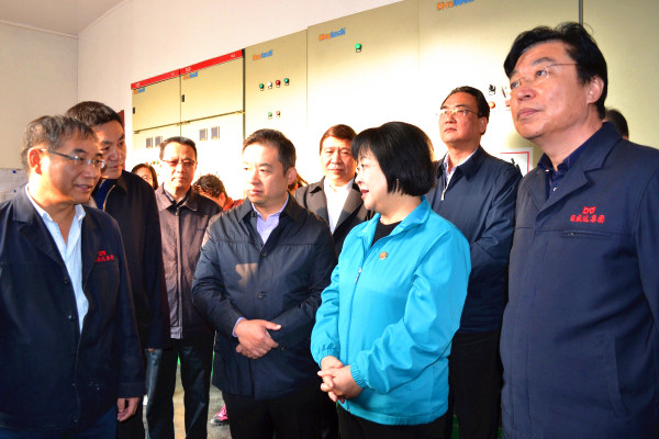 省人大常委会副主任李悦娥带队深入“日盛达”集团开展环保执法检查