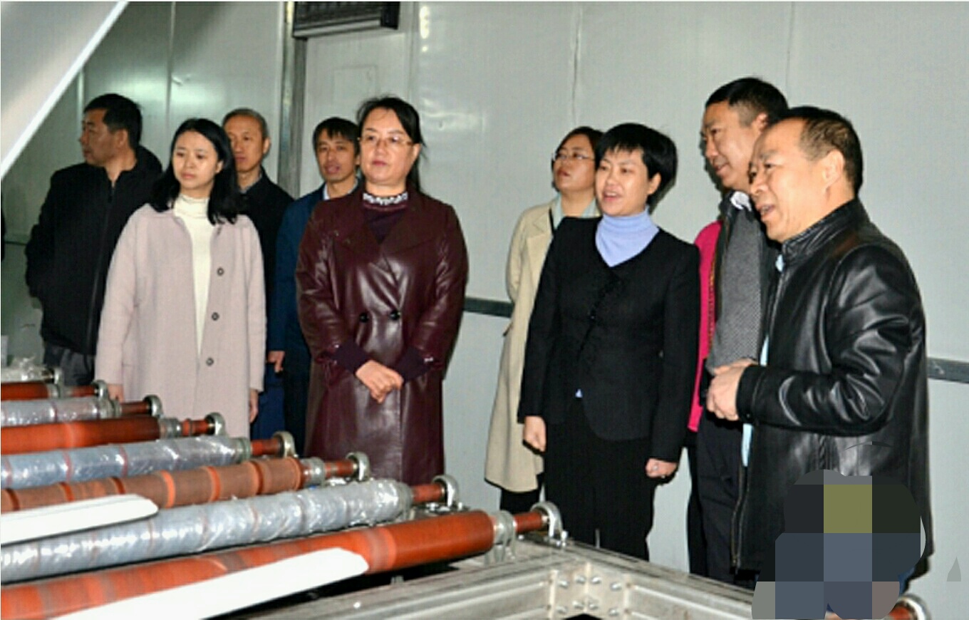 市委统战系统干部莅临我司调研指导工作